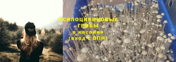 меф Дмитриев