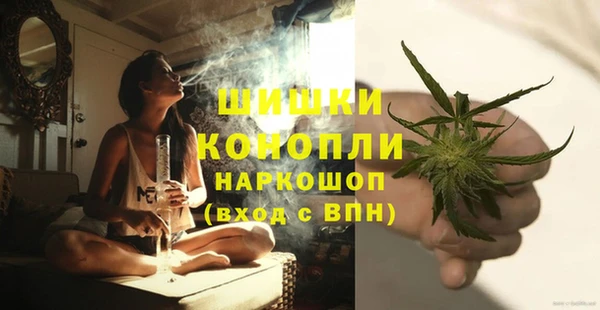 дмт Дмитровск