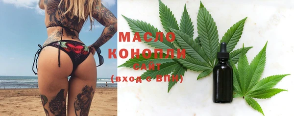 меф Дмитриев