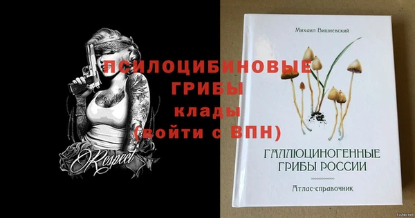 меф Дмитриев