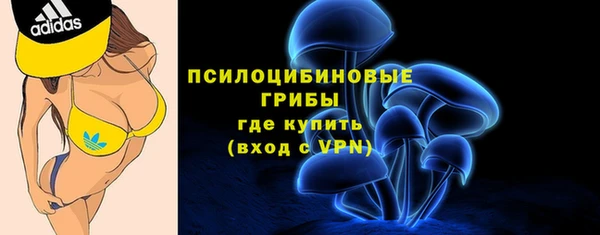 МДМА Ельня