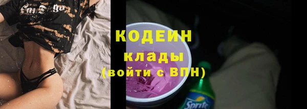 дмт Дмитровск