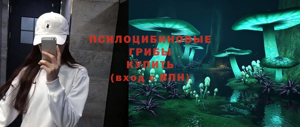 МДМА Ельня