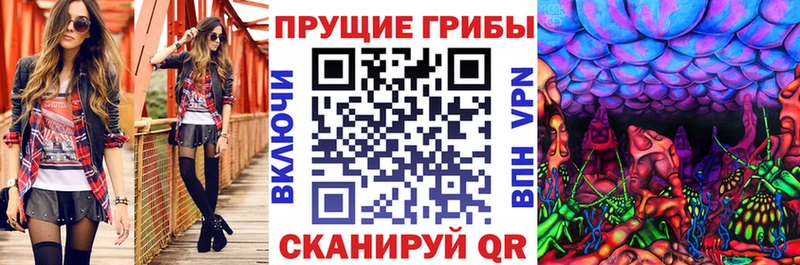 Купить где  Южа  Галлюциногенные грибы Cubensis 